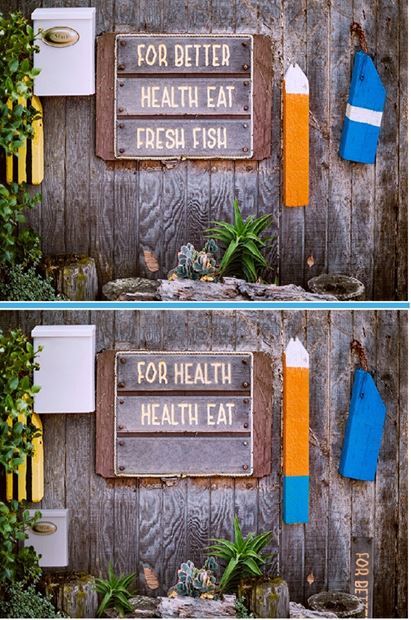 Find The Difference Fovere